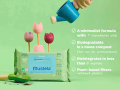 Home compostable wipes